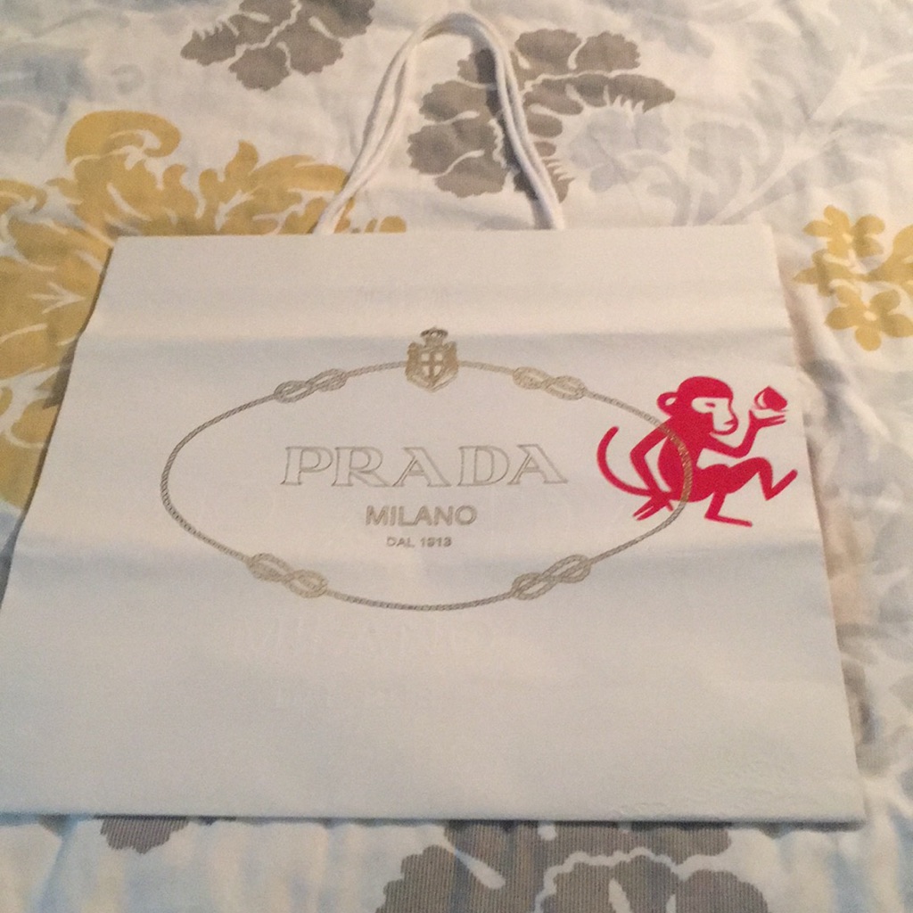 Prada Empty Bag